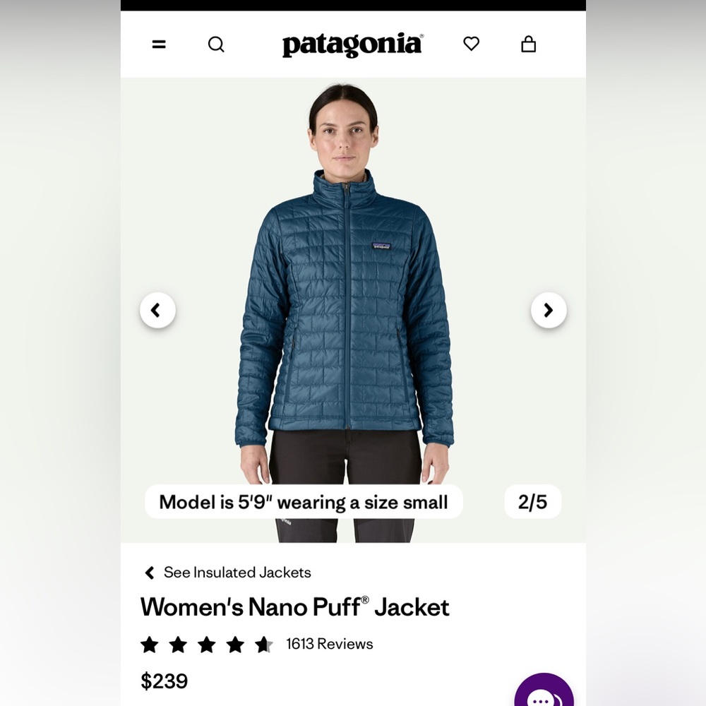 Patagonia Nano Puff Jacket